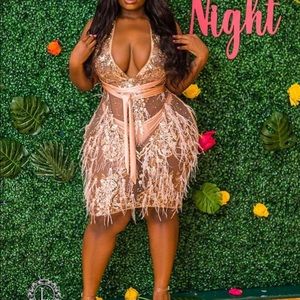 Blush midi dress with feather and pearl detailing